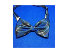 神戸タータン　プリントボウタイ