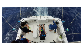 「“カジキマグロ”という魚は存在しません」　大物釣り専門店に聞く「カジキ釣り」のロマンと魅力