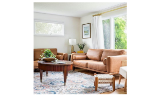 アメリカの住宅における「クッション」の重要な役割とは　「日本とは違った文化です」　アメリカ輸入家具店が解説