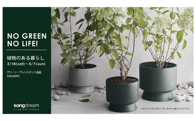 “NO GREEN,NO LIFE（植物のある暮らし）”期間限定開催！