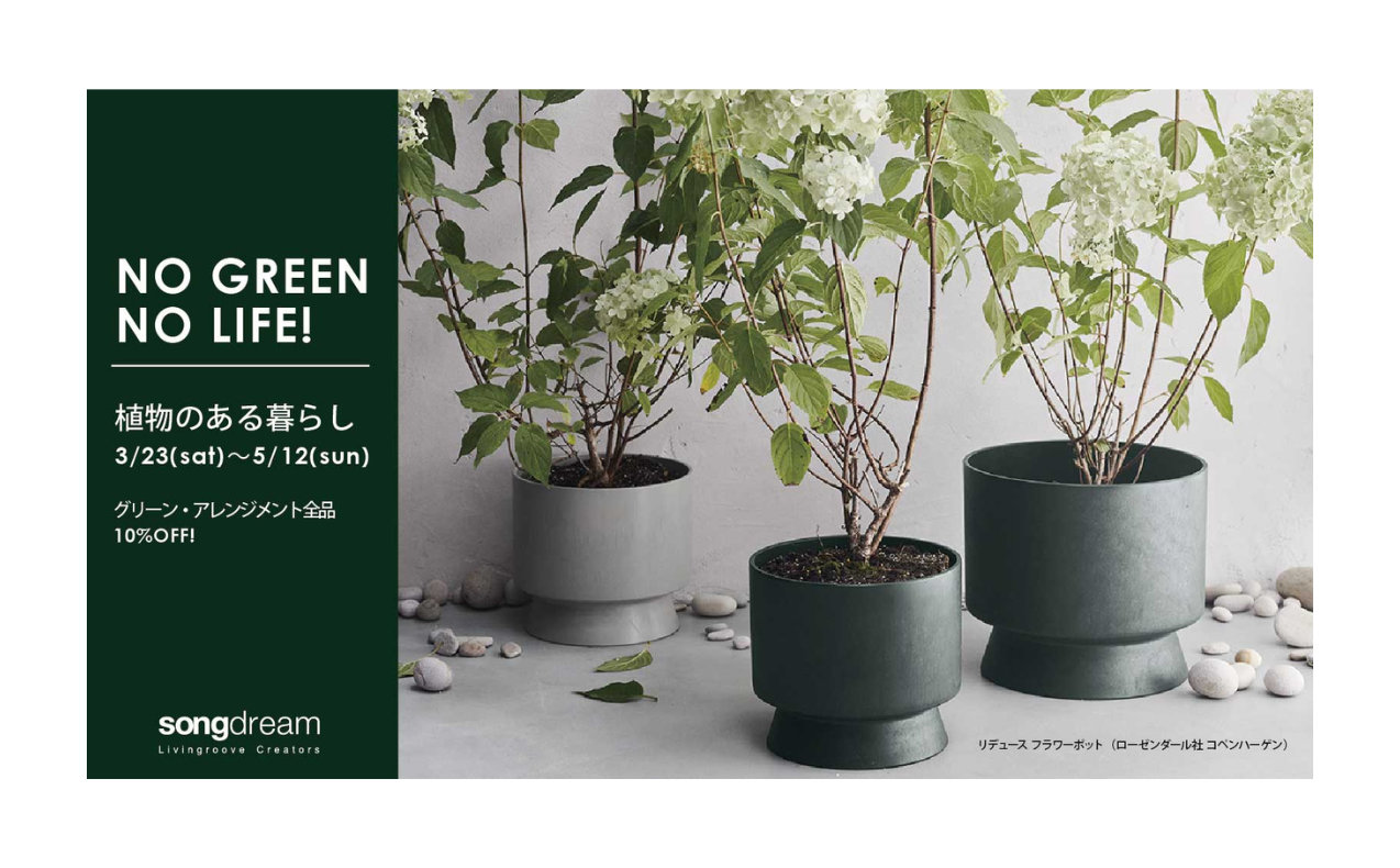 “NO GREEN,NO LIFE（植物のある暮らし）”期間限定開催！